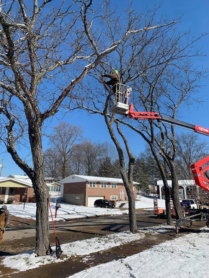 Mid America Tree Experts - Pacific, MO