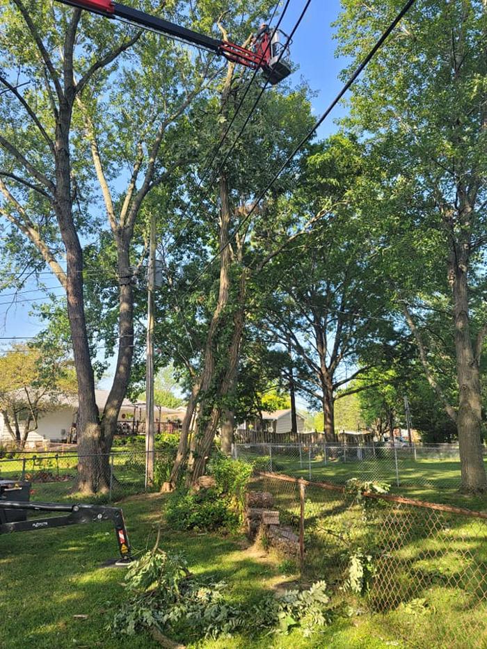 Mid America Tree Experts - Pacific, MO