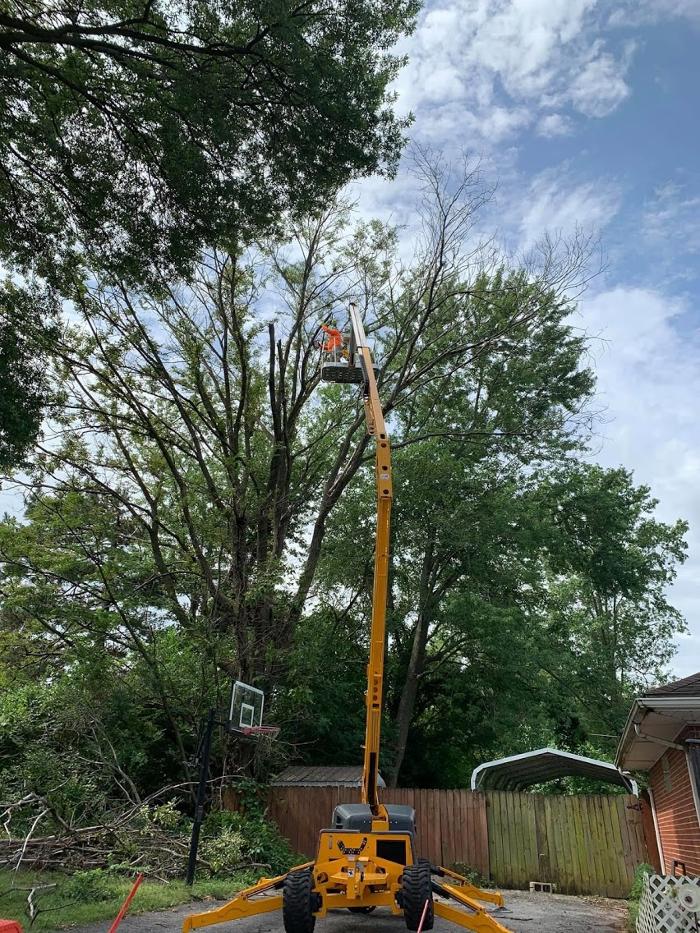 Mid America Tree Experts - Pacific, MO