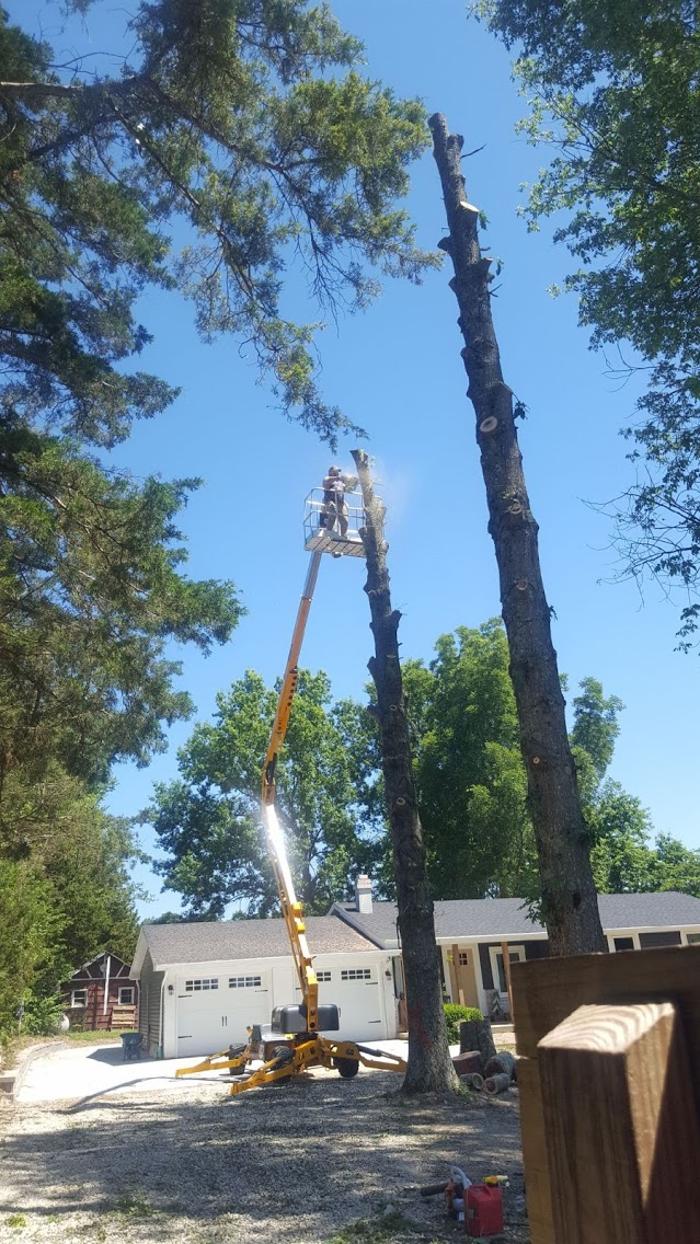 Mid America Tree Experts - Pacific, MO
