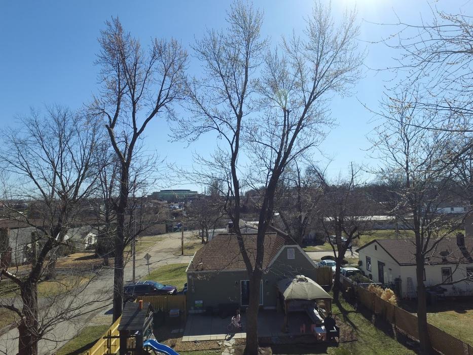Mid America Tree Experts - Pacific, MO