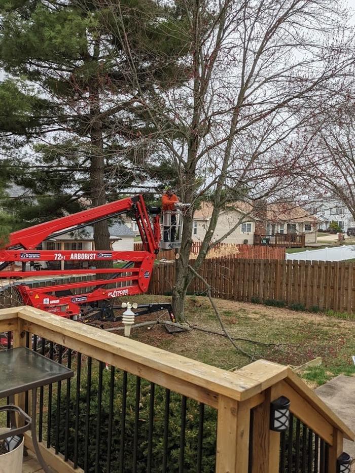 Mid America Tree Experts - Pacific, MO