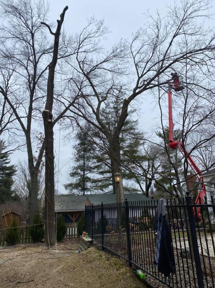 Mid America Tree Experts - Pacific, MO