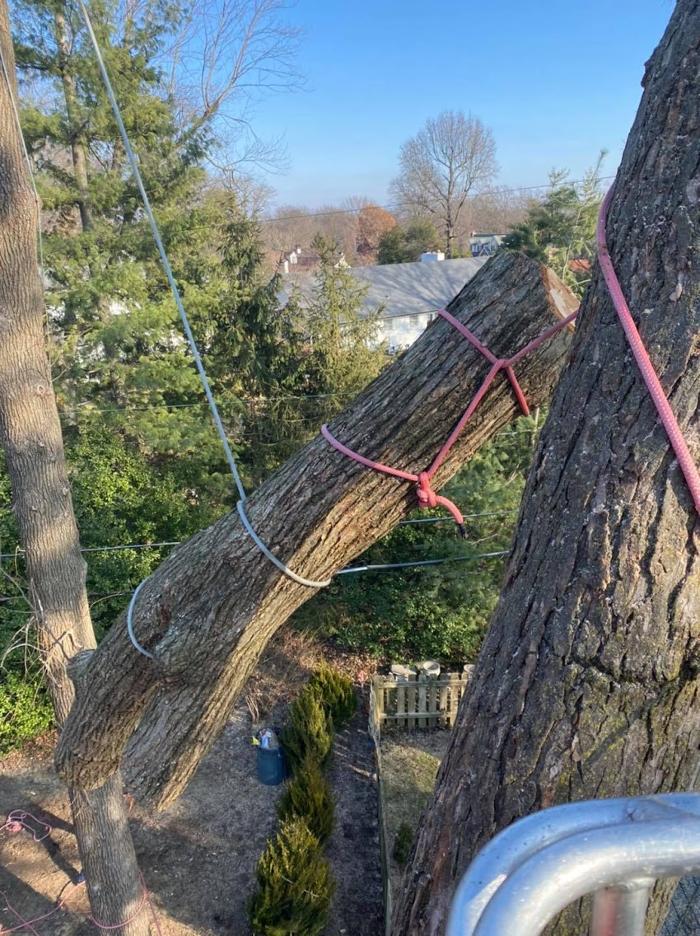 Mid America Tree Experts - Pacific, MO