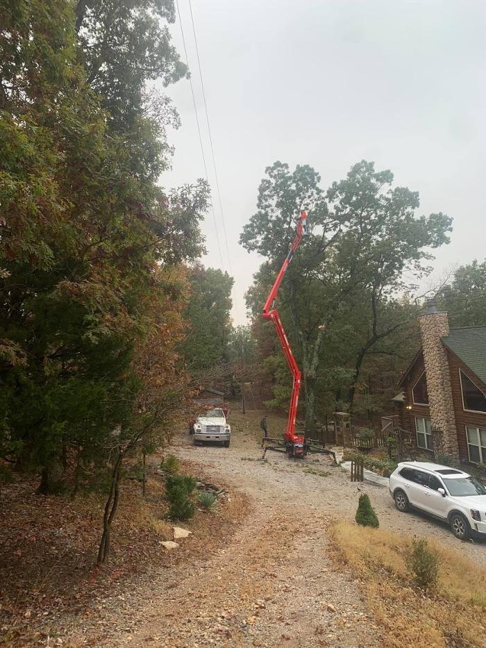 Mid America Tree Experts - Pacific, MO