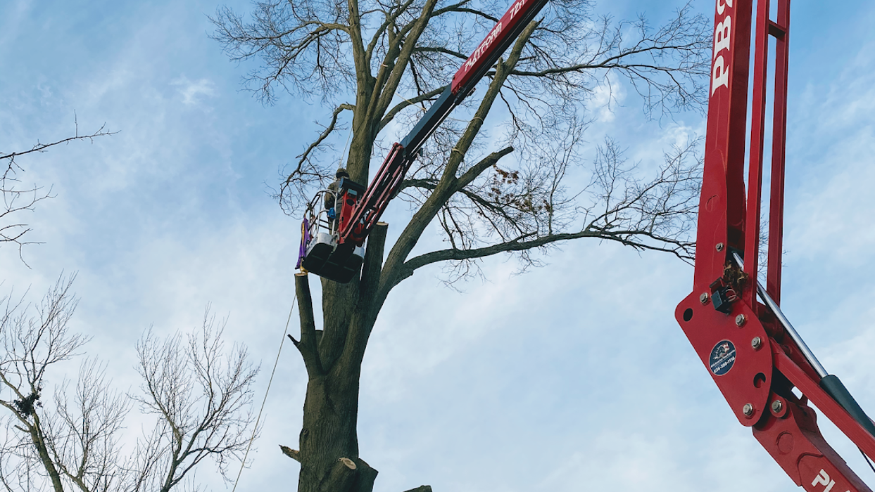 Mid America Tree Experts - Pacific, MO