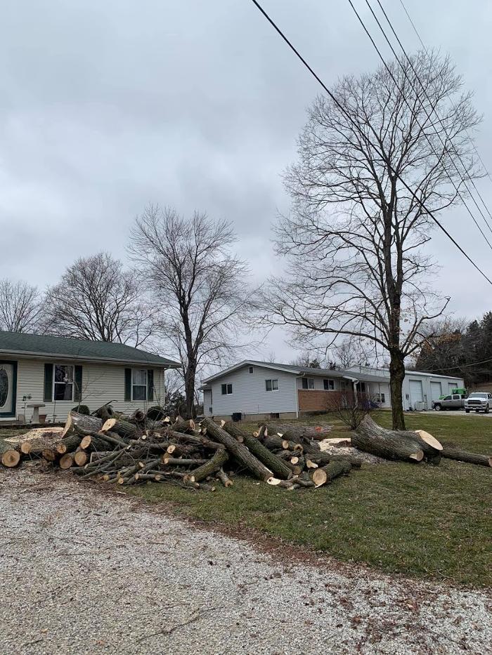 Mid America Tree Experts - Pacific, MO