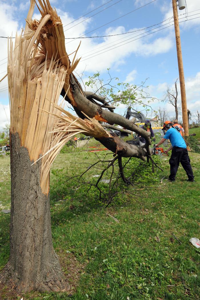 Mid America Tree Experts - Pacific, MO