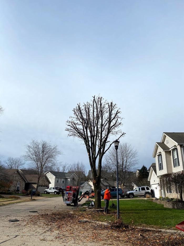 Mid America Tree Experts - Pacific, MO