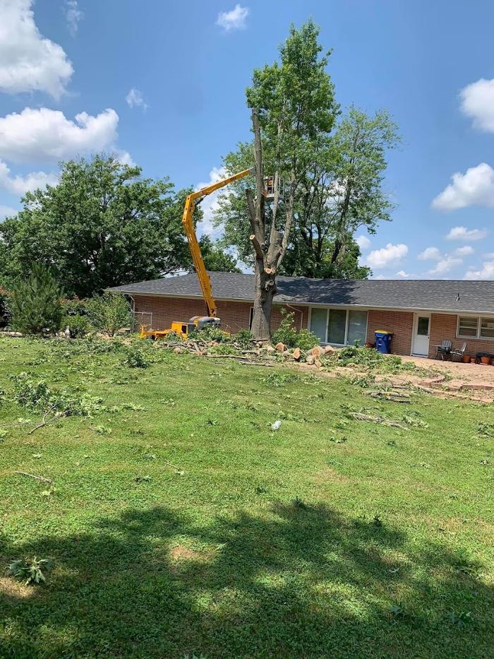 Mid America Tree Experts - Pacific, MO
