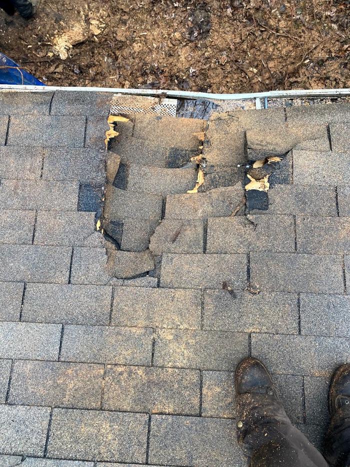 Mid America Tree Experts - Pacific, MO