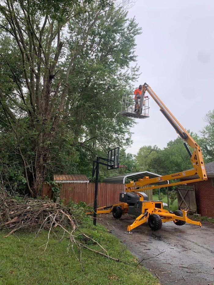 Mid America Tree Experts - Pacific, MO