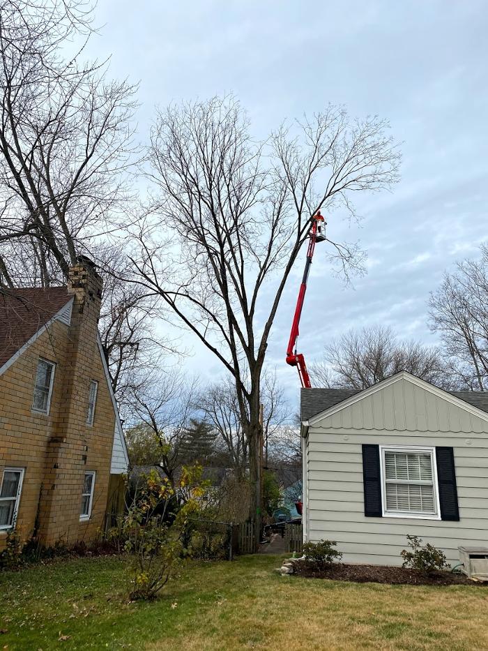 Mid America Tree Experts - Pacific, MO