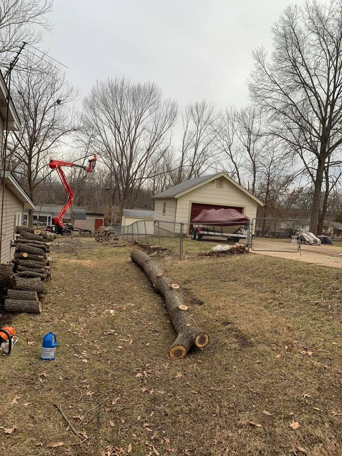 Mid America Tree Experts - Pacific, MO