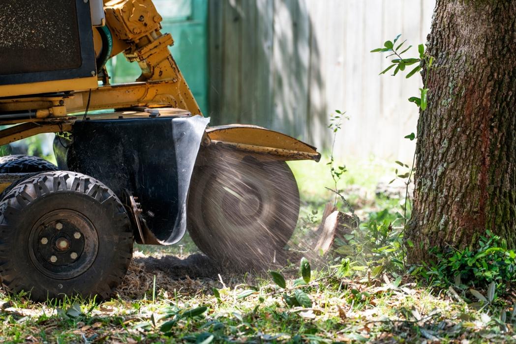 Mid America Tree Experts - Pacific, MO