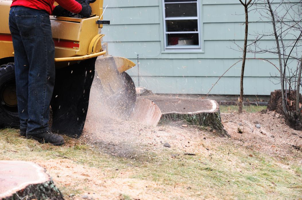 Mid America Tree Experts - Pacific, MO