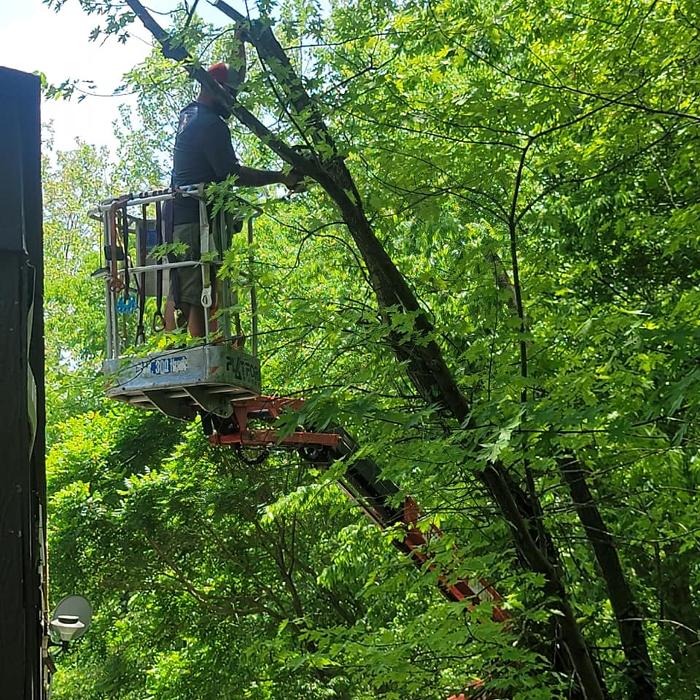Mid America Tree Experts - Pacific, MO