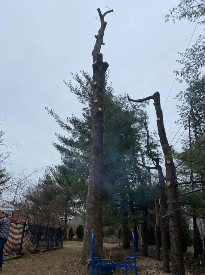 Mid America Tree Experts - Pacific, MO