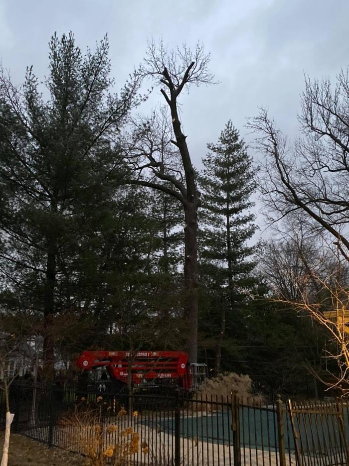Mid America Tree Experts - Pacific, MO