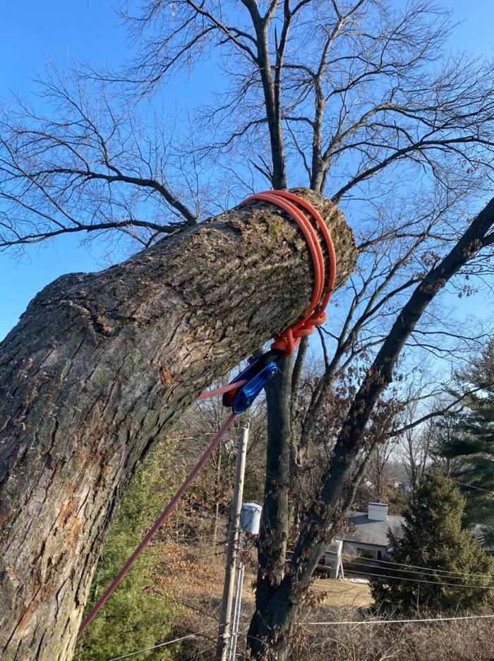 Mid America Tree Experts - Pacific, MO