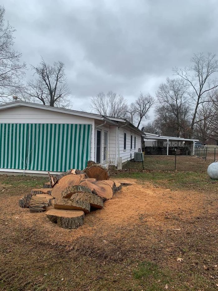 Mid America Tree Experts - Pacific, MO