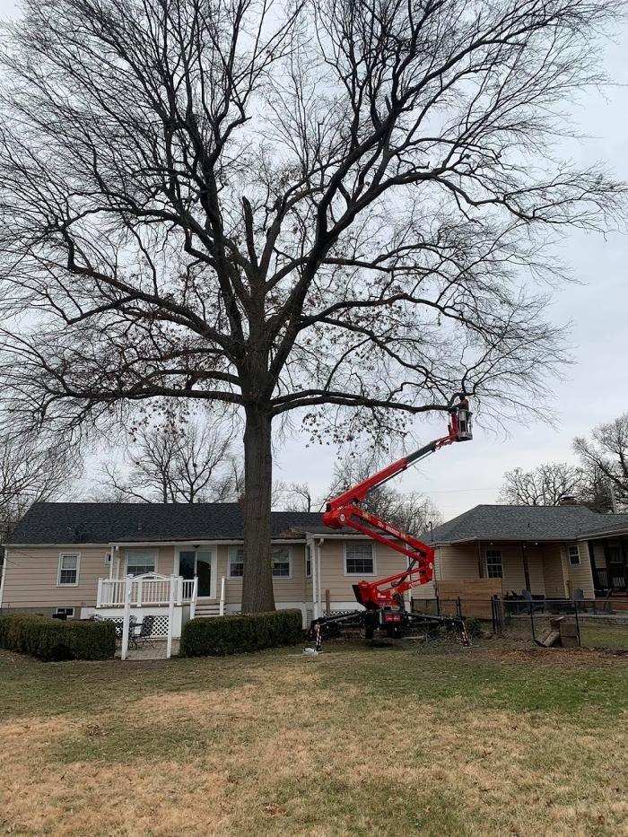 Mid America Tree Experts - Pacific, MO