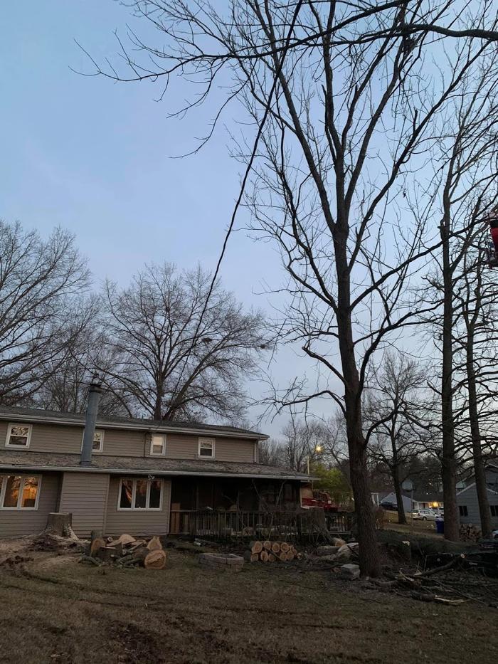 Mid America Tree Experts - Pacific, MO