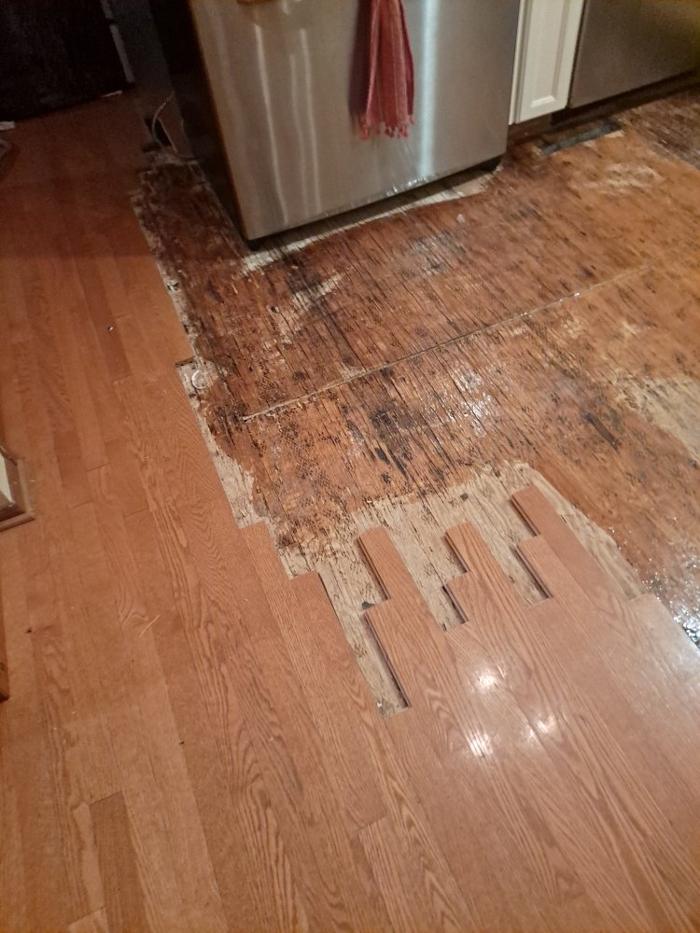 Mountain Man Hardwood Floors - Commerce City, CO