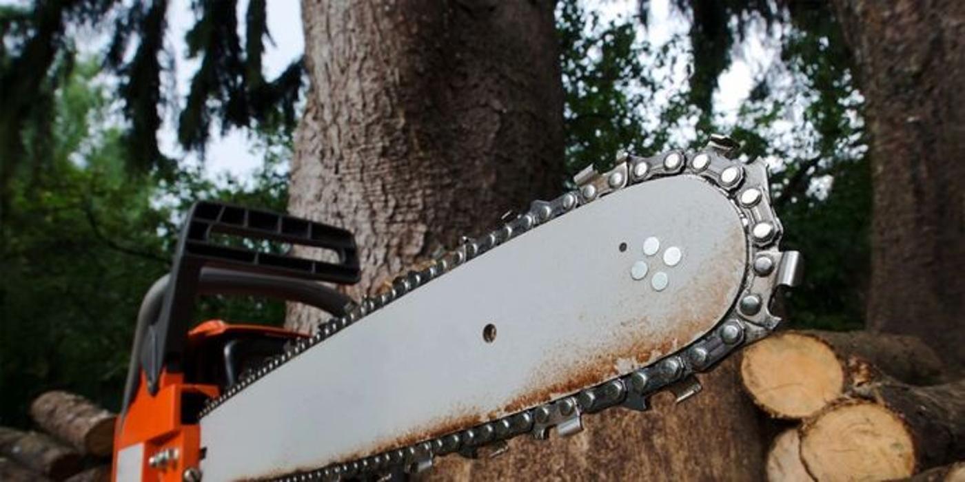 AAA Tree Service - Traverse City, MI