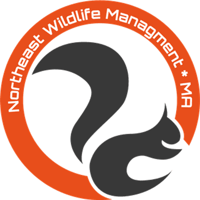 North East Wildlife Management - Canton, MA