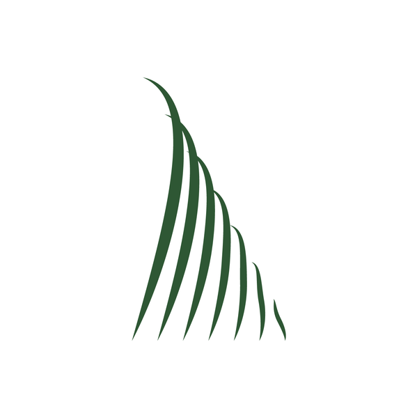 Votre Jardinier paysagiste conseil