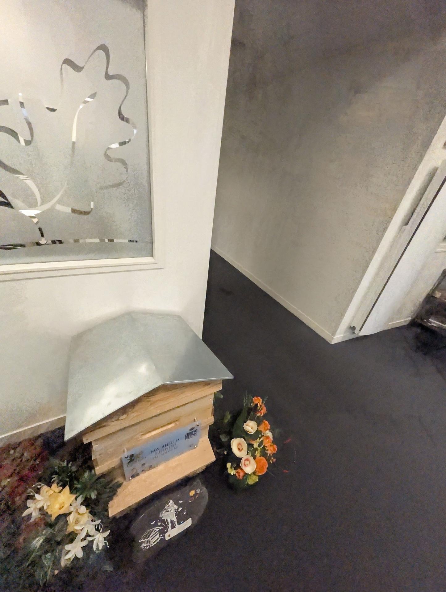 galerie image