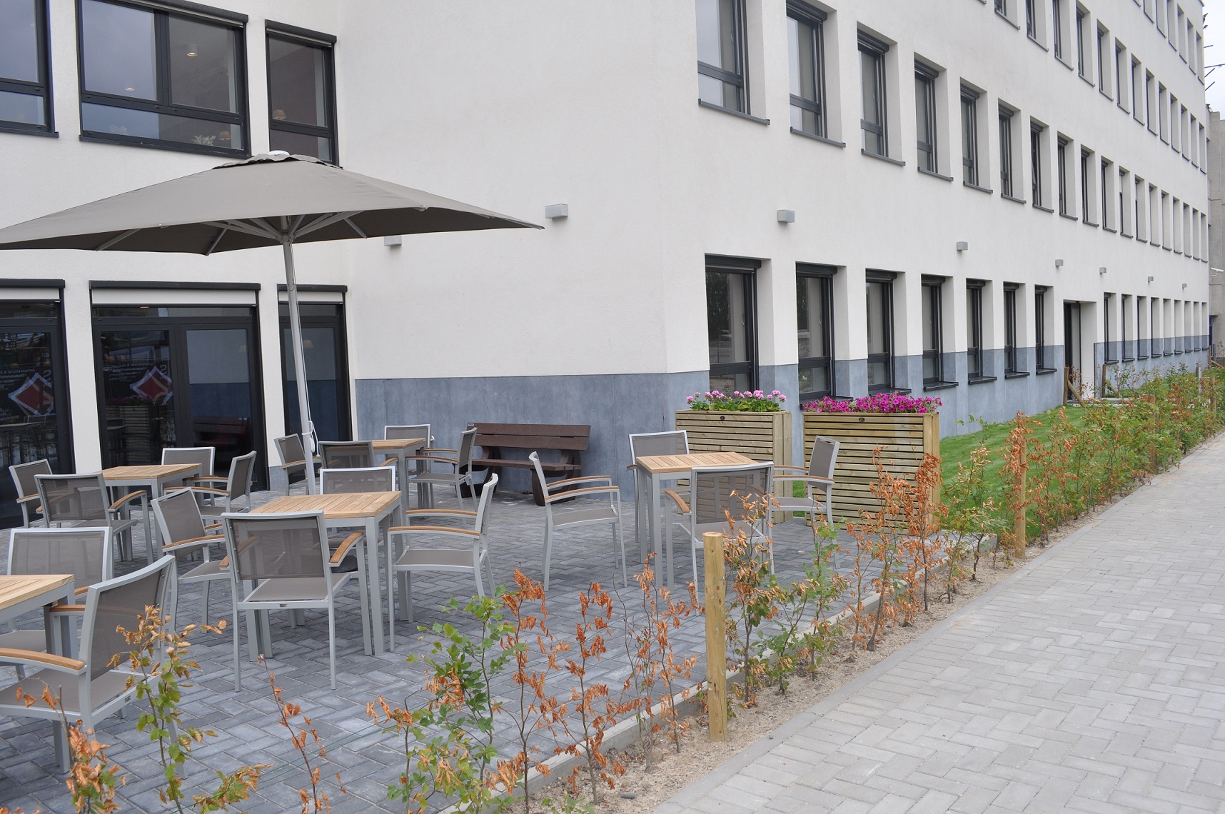 Miniature de la galerie