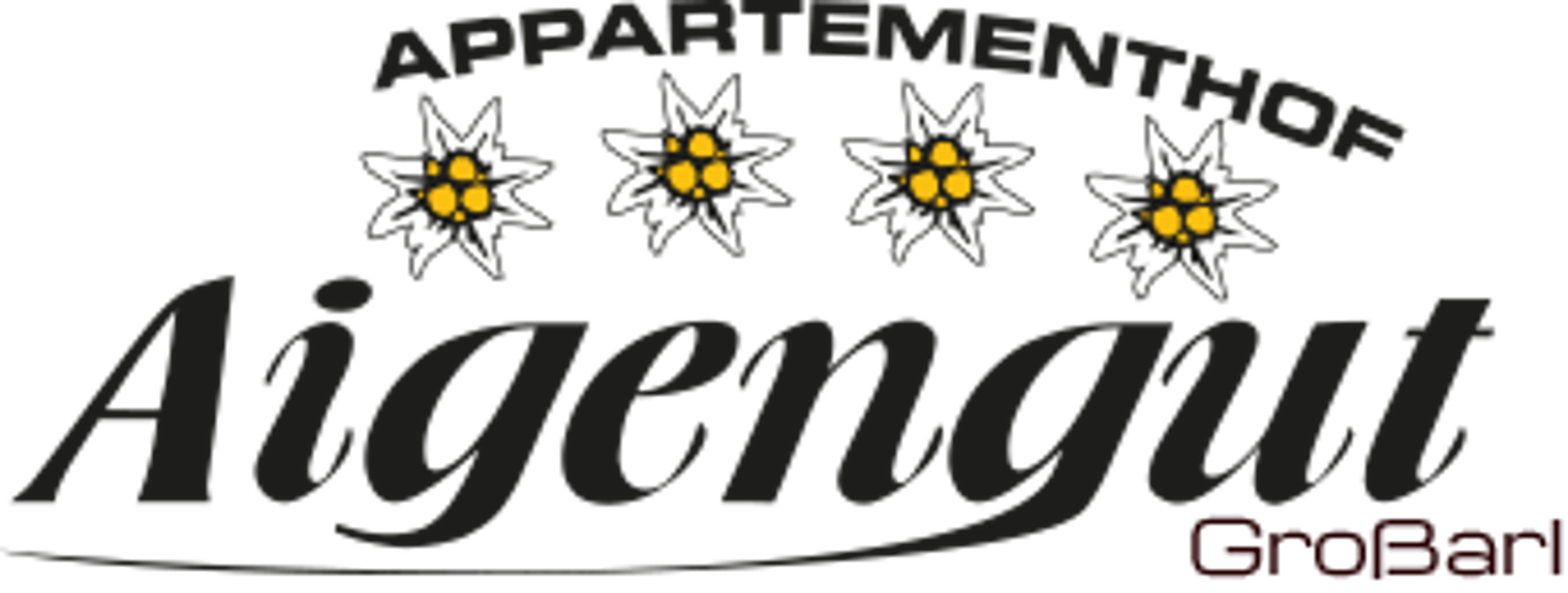 Appartementhof Aigengut Ferienwohnung Großarl in Unterberg