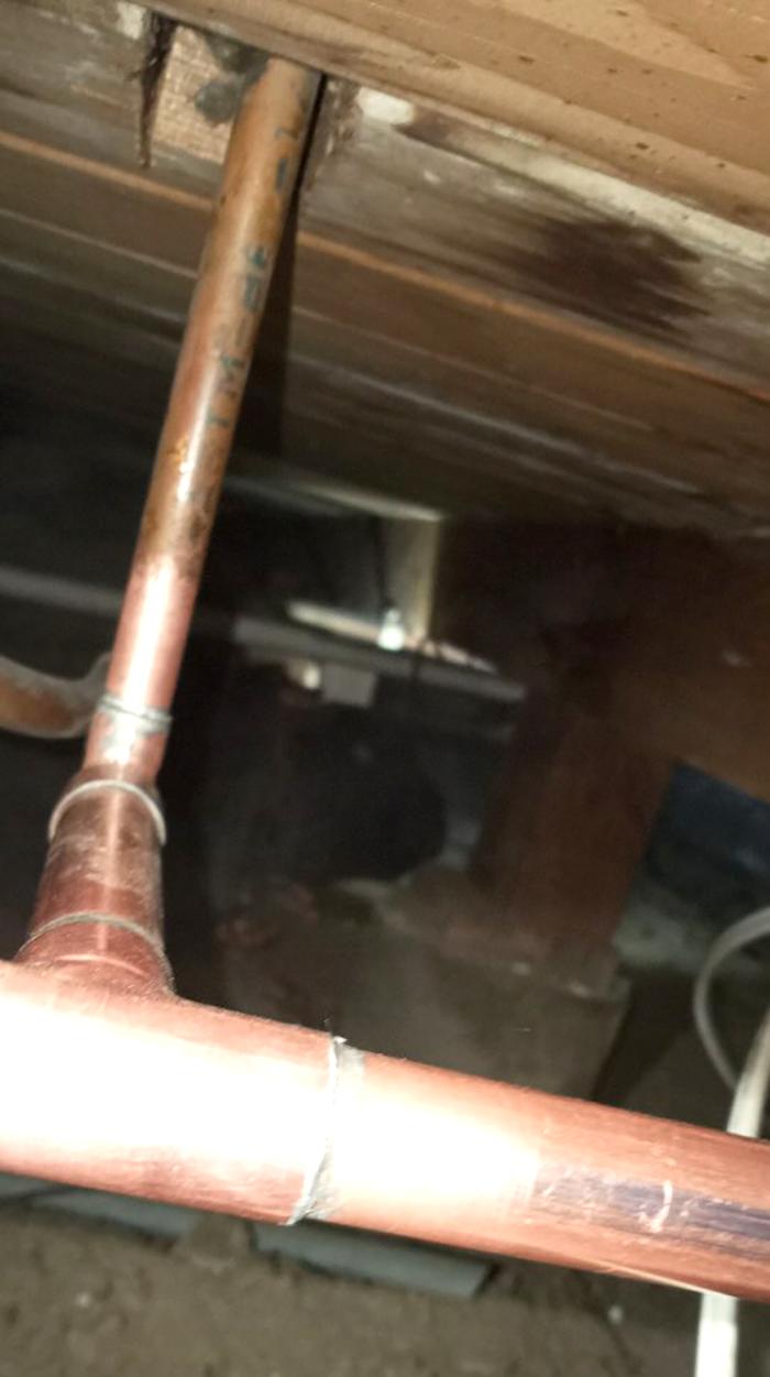 Wolfe Plumbing and Rooter - Burbank, CA