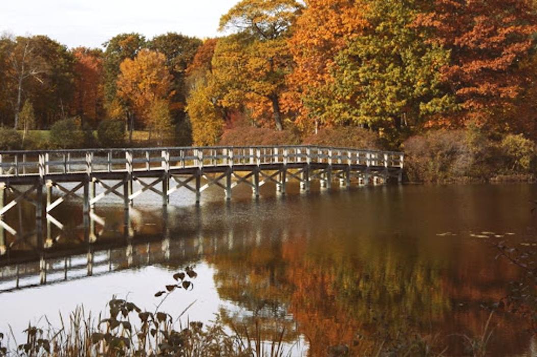 Michaywé Live Dine Golf - Gaylord, MI