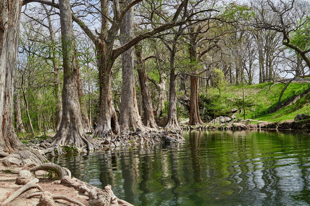 Terrata Homes - Spicewood Trails Image