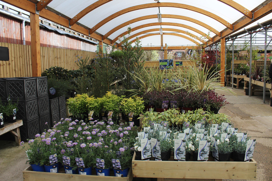 Hillier Garden Centre Newbury Thatcham 01635 200442