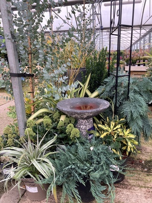 Hillier Garden Centre Newbury Thatcham 01635 200442