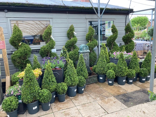 Hillier Garden Centre Newbury Thatcham 01635 200442