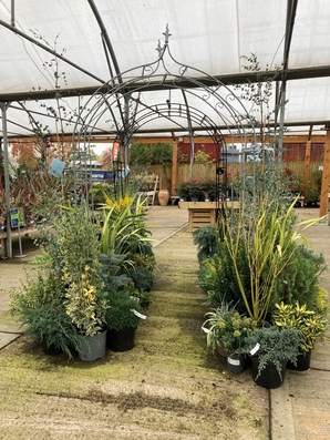 Hillier Garden Centre Newbury Thatcham 01635 200442