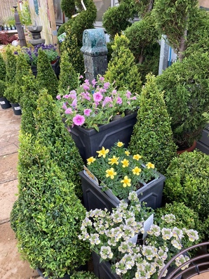 Hillier Garden Centre Newbury Thatcham 01635 200442