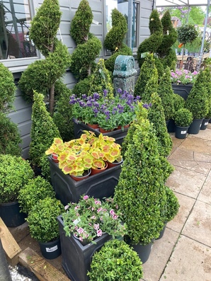 Hillier Garden Centre Newbury Thatcham 01635 200442