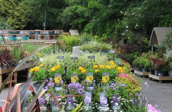 Hillier Garden Centre Dorking Dorking 01306 884845