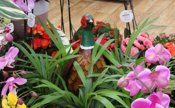 Hillier Garden Centre Dorking Dorking 01306 884845