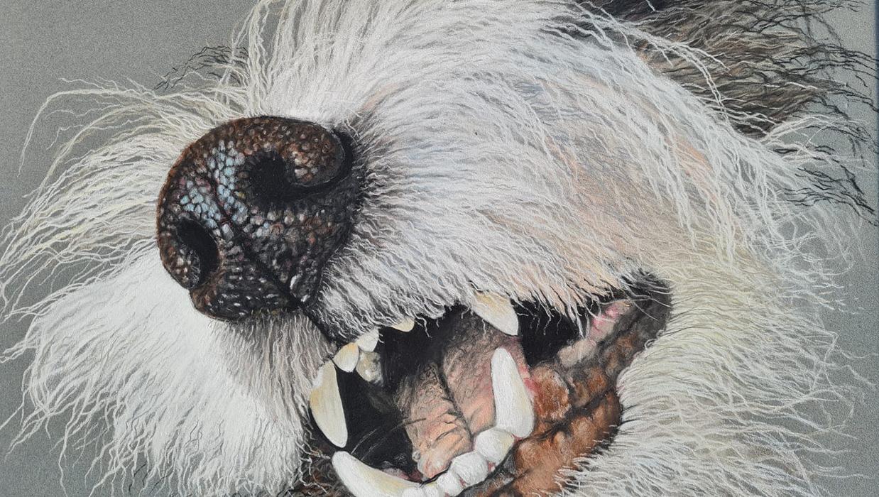 Soul-Dogs Petra Tenge, Konrad-Adenauer-Straße in Harsum