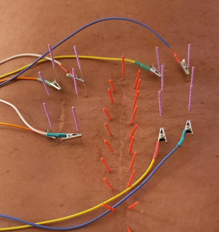 The Center for Natural Healing - Cape Coral, FL