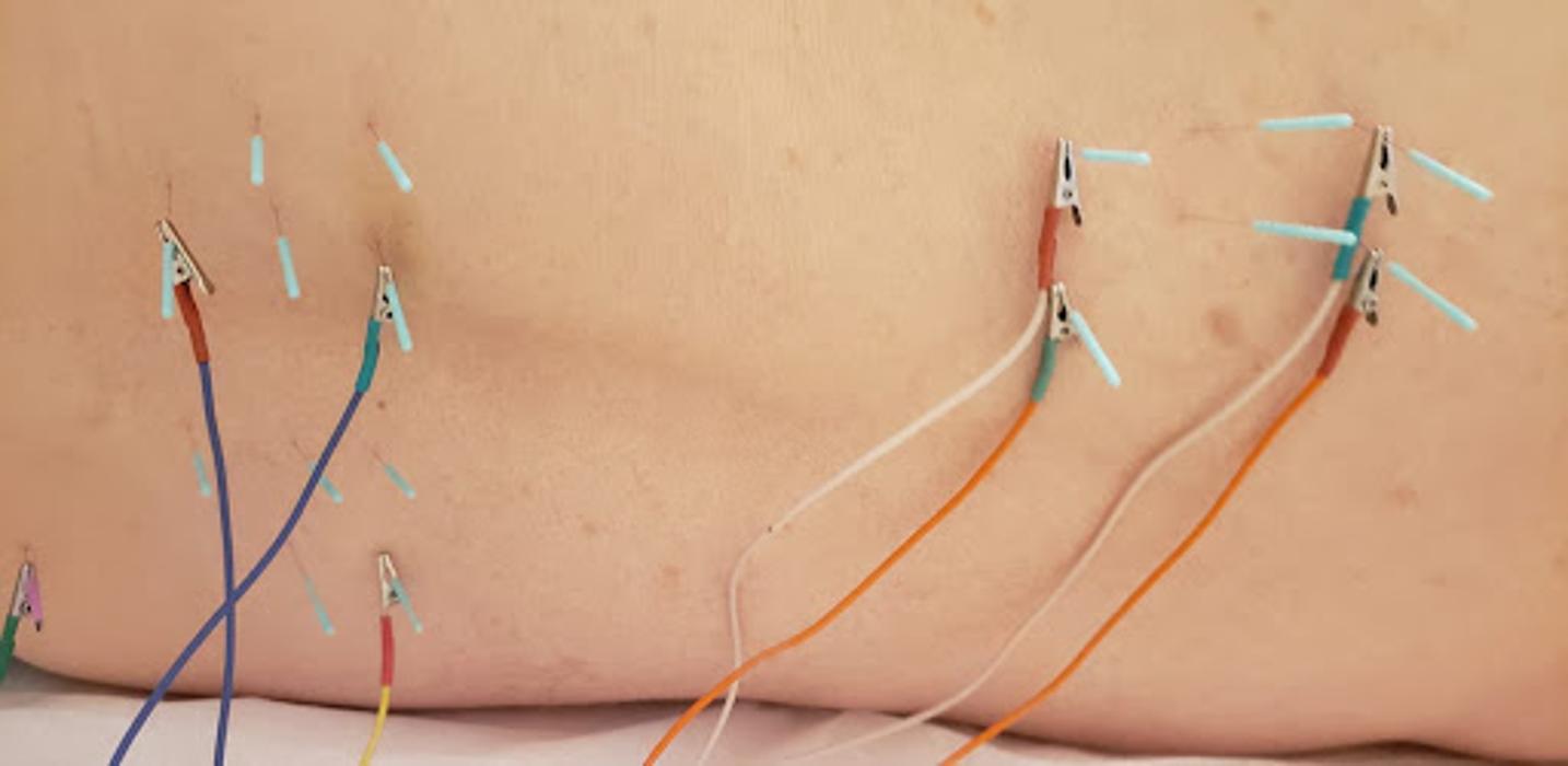 The Center for Natural Healing - Cape Coral, FL