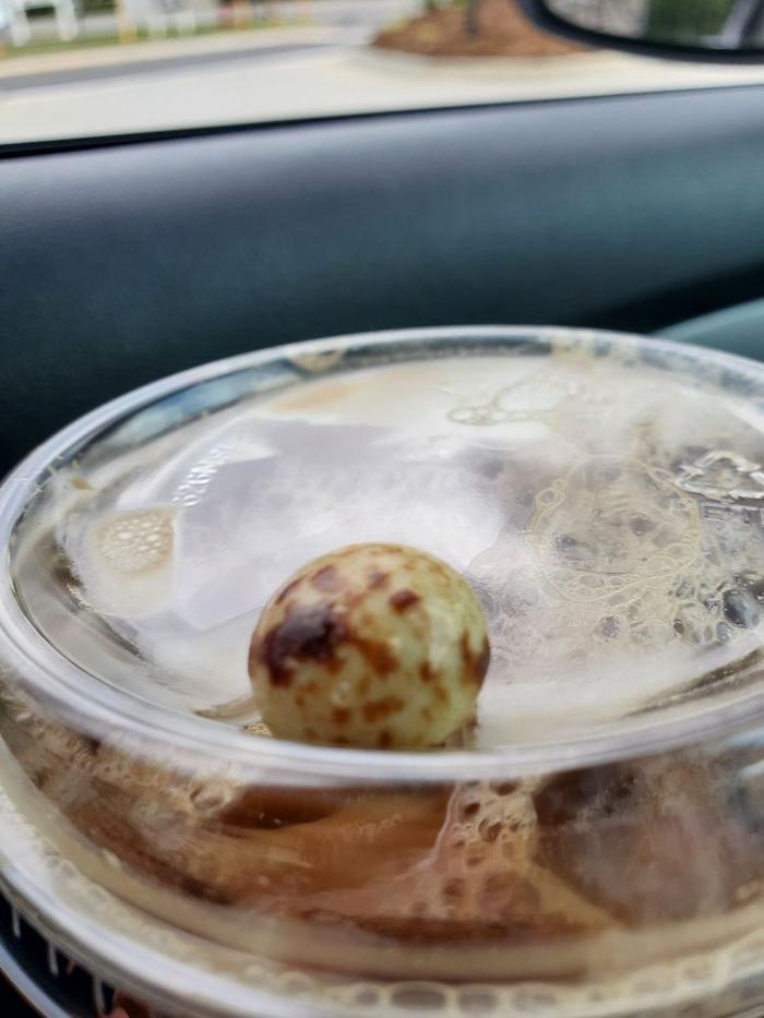 The Human Bean Morganton, N. Green St. - Morganton, NC