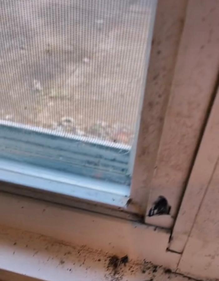 Custom Cleaning - Dyersburg, TN